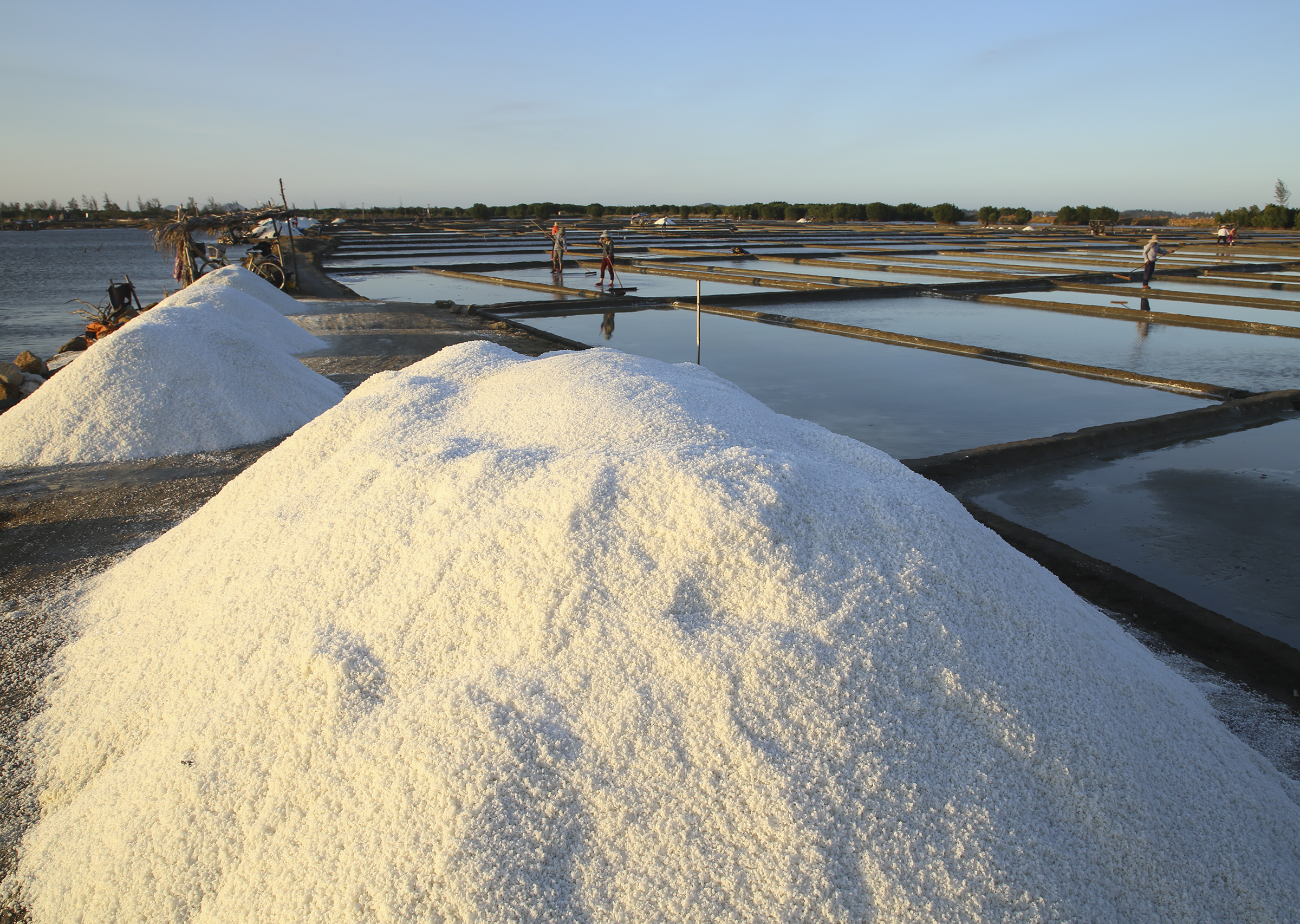 Muối chất thành đống chờ vận chuyển